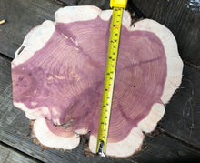 Load image into Gallery viewer, 10” (2) setmirrored SANDED red cedar rustic slice cookie slab round centerpiece live edge—free gift with purchase! Wedding, crafts and more!
