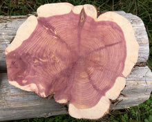 Load image into Gallery viewer, 10” (2) setmirrored SANDED red cedar rustic slice cookie slab round centerpiece live edge—free gift with purchase! Wedding, crafts and more!