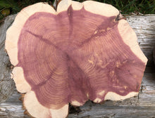 Load image into Gallery viewer, 10” (2) setmirrored SANDED red cedar rustic slice cookie slab round centerpiece live edge—free gift with purchase! Wedding, crafts and more!