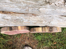 Load image into Gallery viewer, 10” (2) setmirrored SANDED red cedar rustic slice cookie slab round centerpiece live edge—free gift with purchase! Wedding, crafts and more!