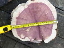 Load image into Gallery viewer, 10” (2) set SANDED red cedar rustic slice cookie slab round centerpiece live edge—free gift with purchase! Wedding, crafts and more!