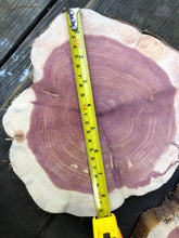Load image into Gallery viewer, 9”X8” set of 2 SANDED Red cedar slice cookie slab round centerpiece live edge—free gift with purchase! Wedding, crafts and more!
