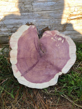 Load image into Gallery viewer, 9” SANDED red cedar Heart rustic slice cookie slab round centerpiece live edge—free gift with purchase! Wedding, crafts and more!