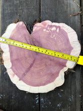 Load image into Gallery viewer, 9” SANDED red cedar Heart rustic slice cookie slab round centerpiece live edge—free gift with purchase! Wedding, crafts and more!