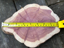Load image into Gallery viewer, 4 Gorgeous 7”-8” SANDED red cedar slices cookies slabsrounds centerpiece live edge—free gift with purchase! Wedding, crafts, Rustic