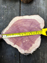 Load image into Gallery viewer, 4 Gorgeous 7”-8” SANDED red cedar slices cookies slabsrounds centerpiece live edge—free gift with purchase! Wedding, crafts, Rustic