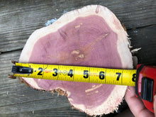 Load image into Gallery viewer, 3 Gorgeous 8” red cedar slices/cookies/slabs/rounds centerpiece live edge—free gift with purchase! Wedding, crafts, Rustic