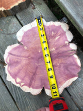 Load image into Gallery viewer, 11” Red cedar wood slice, tree slab, for centerpieces, wedding decor, large wood round