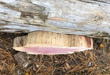 Load image into Gallery viewer, 11” SANDED red cedar Heart  rustic slice cookie slab round centerpiece live edge—free gift with purchase! Wedding, crafts and more!