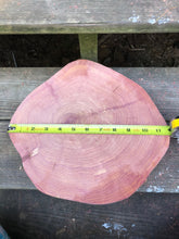 Load image into Gallery viewer, 12” Red cedar wood slice, tree slab, for centerpieces, wedding decor, large wood round 2” thick SANDED