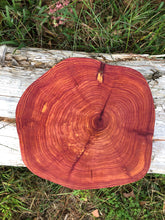 Load image into Gallery viewer, 12” Red cedar wood slice, tree slab, for centerpieces, wedding decor, large wood round 2” thick SANDED