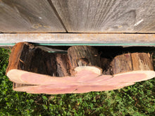 Load image into Gallery viewer, 22” and 2”thick SANDED red cedar rustic slice cookie slab round table top live edge—free gift with purchase! Wedding, crafts and more!
