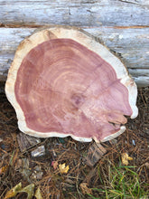 Load image into Gallery viewer, 17” SANDED red cedar rustic slice cookie slab round table top live edge—free gift with purchase! Wedding, crafts and more!