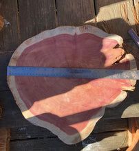 Load image into Gallery viewer, 17” SANDED red cedar rustic slice cookie slab round table top live edge—free gift with purchase! Wedding, crafts and more!