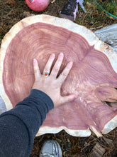 Load image into Gallery viewer, 17” SANDED red cedar rustic slice cookie slab round table top live edge—free gift with purchase! Wedding, crafts and more!
