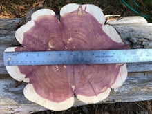 Load image into Gallery viewer, 12” Red cedar wood slice, tree slab, for centerpieces, wedding decor, large wood round