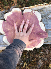 Load image into Gallery viewer, 12” Red cedar wood slice, tree slab, for centerpieces, wedding decor, large wood round
