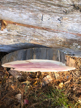 Load image into Gallery viewer, 14” Red cedar wood slice, tree slab, for centerpieces, wedding decor, large wood round