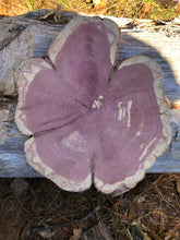 Load image into Gallery viewer, 10” SANDED red cedar Rustic slice/cookie/slab/round centerpiece live edge—free gift with purchase! Wedding, crafts and more!