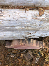 Load image into Gallery viewer, 10” SANDED red cedar Rustic slice/cookie/slab/round centerpiece live edge—free gift with purchase! Wedding, crafts and more!