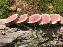 Load image into Gallery viewer, 6 Gorgeous 5” SANDED red cedar rustic slices cookies slabs rounds centerpiece live edge—free gift with purchase! Wedding, crafts and more!