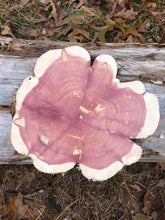 Load image into Gallery viewer, 11” Red cedar wood slice, tree slab, for centerpieces, wedding decor, large wood round