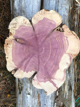 Load image into Gallery viewer, 11” SANDED red cedar Heart  rustic slice cookie slab round centerpiece live edge—free gift with purchase! Wedding, crafts and more!
