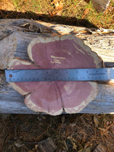 Load image into Gallery viewer, 10” SANDED red cedar Rustic slice/cookie/slab/round centerpiece live edge—free gift with purchase! Wedding, crafts and more!
