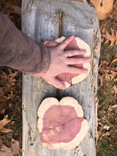 Load image into Gallery viewer, 2 Gorgeous 7” red cedar slices/cookies/slabs/rounds centerpiece live edge—free gift with purchase! Wedding, crafts, Rustic