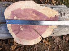 Load image into Gallery viewer, 14” SANDED red cedar slices cookie slabsrounds centerpiece live edge—free gift with purchase! Wedding, crafts, Rustic