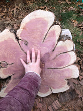 Load image into Gallery viewer, 22” SANDED red cedar rustic slice cookie slab round table top live edge—free gift with purchase! Wedding, crafts and more!