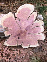 Load image into Gallery viewer, 22” SANDED red cedar rustic slice cookie slab round table top live edge—free gift with purchase! Wedding, crafts and more!