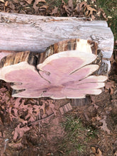 Load image into Gallery viewer, 22” SANDED red cedar rustic slice cookie slab round table top live edge—free gift with purchase! Wedding, crafts and more!