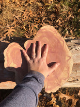 Load image into Gallery viewer, 13” Red cedar wood slice, tree slab, for centerpieces, wedding decor, large wood round