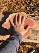Load image into Gallery viewer, 11” Red cedar wood slice, tree slab, for centerpieces, wedding decor, large wood round