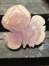 Load image into Gallery viewer, 12” Sanded Red cedar Rustic slice cookie slab round centerpiece live edge—free gift with purchase! Wedding, crafts and more!