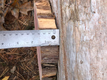 Load image into Gallery viewer, 11” Red cedar wood slice, tree slab, for centerpieces, wedding decor, large wood round