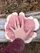 Load image into Gallery viewer, 11” Red cedar wood slice, tree slab, for centerpieces, wedding decor, large wood round