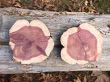 Load image into Gallery viewer, 2 Gorgeous 7” red cedar slices/cookies/slabs/rounds centerpiece live edge—free gift with purchase! Wedding, crafts, Rustic