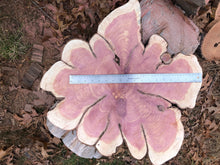 Load image into Gallery viewer, 22” SANDED red cedar rustic slice cookie slab round table top live edge—free gift with purchase! Wedding, crafts and more!