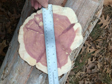 Load image into Gallery viewer, 9” SANDED red cedar Rustic slice/cookie/slab/round centerpiece live edge—free gift with purchase! Wedding, crafts and more!