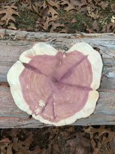 Load image into Gallery viewer, 9” SANDED red cedar Rustic slice/cookie/slab/round centerpiece live edge—free gift with purchase! Wedding, crafts and more!