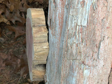 Load image into Gallery viewer, 9” SANDED red cedar Rustic slice/cookie/slab/round centerpiece live edge—free gift with purchase! Wedding, crafts and more!