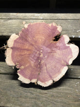 Load image into Gallery viewer, 12” Red cedar wood slice, tree slab, for centerpieces, wedding decor, large wood round
