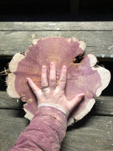 Load image into Gallery viewer, 12” Red cedar wood slice, tree slab, for centerpieces, wedding decor, large wood round