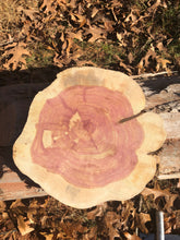 Load image into Gallery viewer, 13” Red cedar wood slice, tree slab, for centerpieces, wedding decor, large wood round