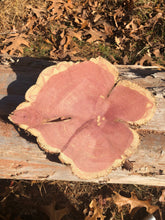 Load image into Gallery viewer, 11” Red cedar wood slice, tree slab, for centerpieces, wedding decor, large wood round