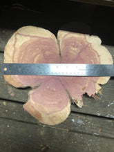 Load image into Gallery viewer, 12” Sanded Red cedar Rustic slice cookie slab round centerpiece live edge—free gift with purchase! Wedding, crafts and more!