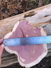 Load image into Gallery viewer, 2 set of 7” SANDED Red Cedar Wood Cookie Slice Slab Round Centerpiece Rustic Live Edge Wedding Crafts