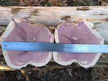 Load image into Gallery viewer, 2 set of 7” SANDED Red Cedar Wood Cookie Slice Slab Round Centerpiece Rustic Live Edge Wedding Crafts